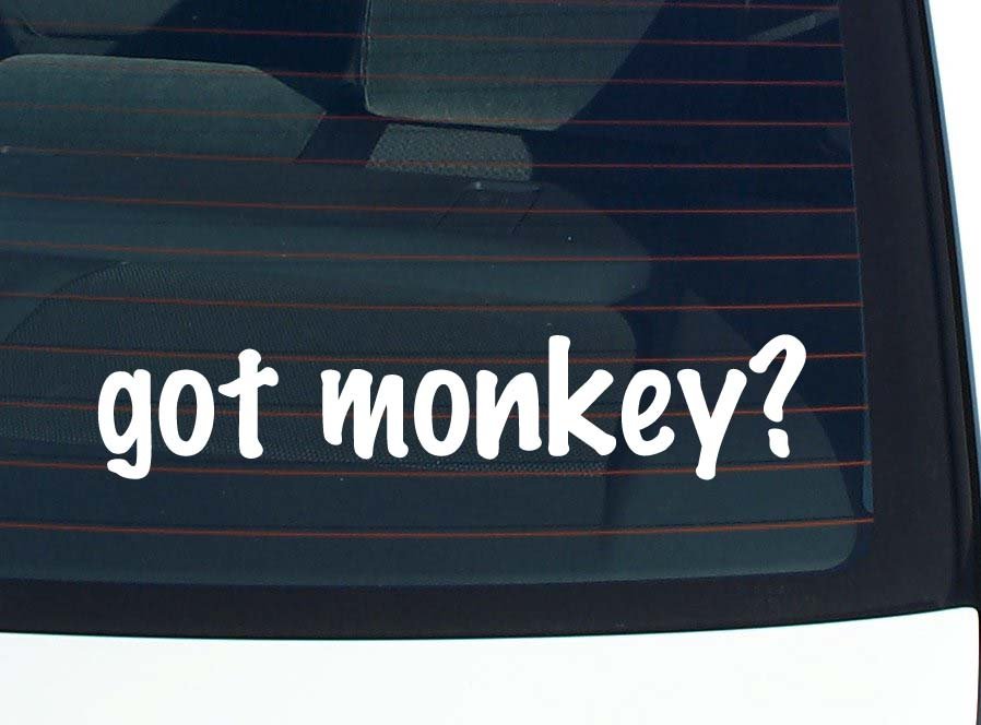 got monkey? CAR DECAL BUMPER STICKER VINYL FUNNY JOKE WINDOW | eBay